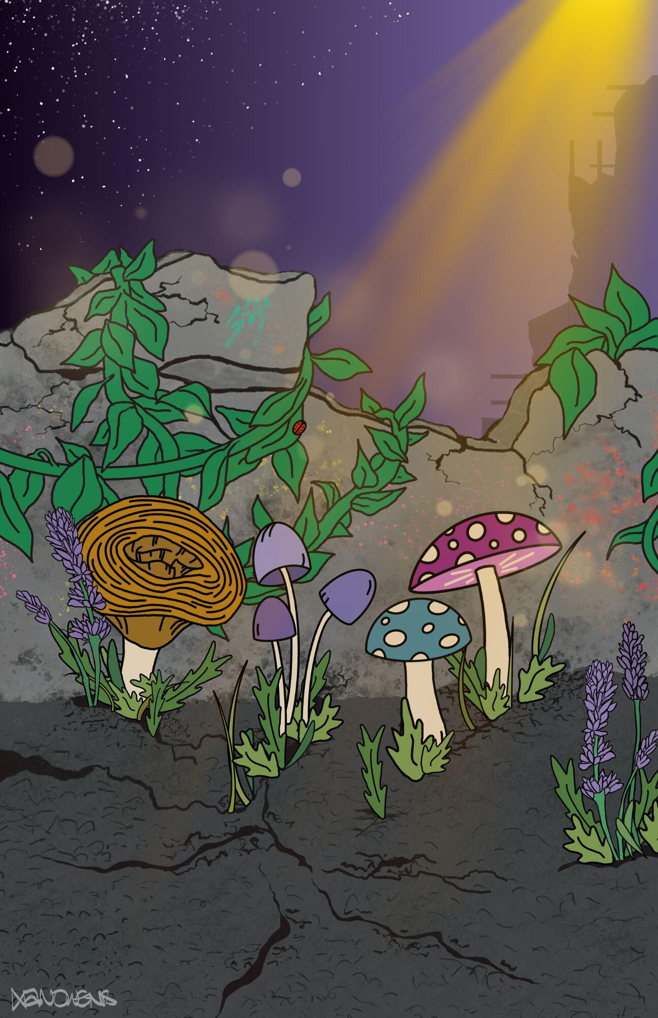 Illustration - Through the Cracks Illustration of mushrooms and other plants stubbornly growing from the cracked asphalt in front of a crumbling concrete wall. A lush green vine climbs over the remains of the wall, and a falling-apart building silhouette is visible in the background. The s